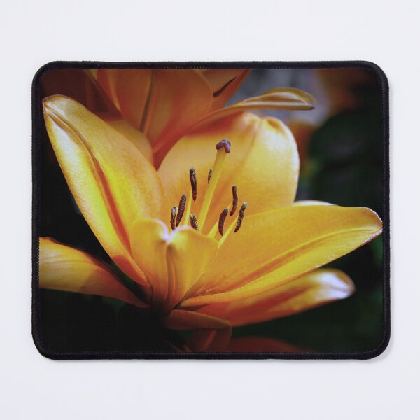 Item preview, The Lily designed and sold by Tom McPherson Photography.