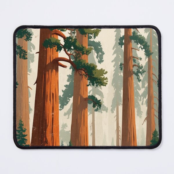 Item preview, Redwood National Park Postcard Vintage Retro Travel Vintage designed and sold by TravelPostcardGems.