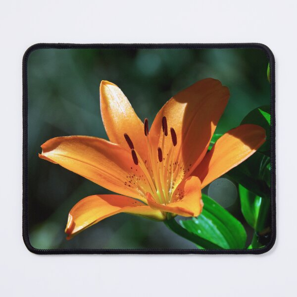 Item preview, Orange Lily designed and sold by Tom McPherson Photography.