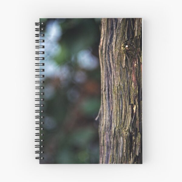 Aperçu de l'œuvre Mondes en bois II créée et vendue par ColourMoods.