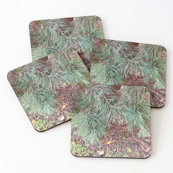 Item preview, Coniferous branches in the park designed and sold by mariya-ivanova.