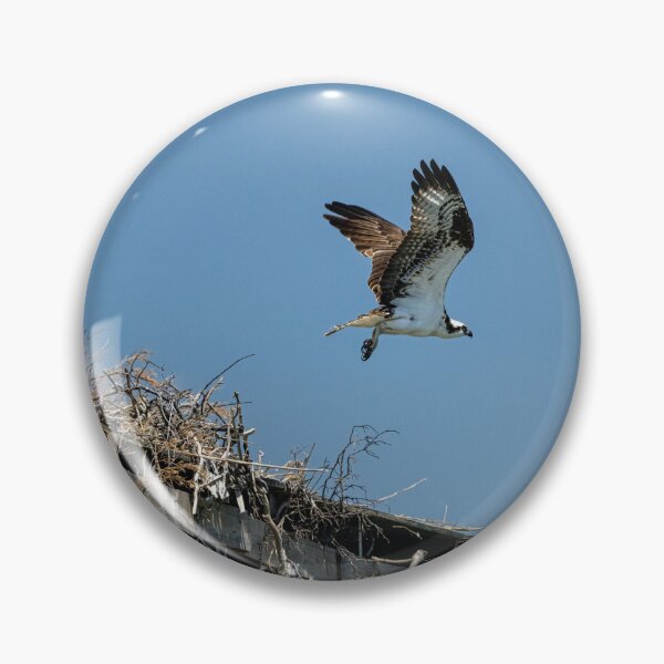 Item preview, Osprey Takes off from Nest designed and sold by ShorelineImages.