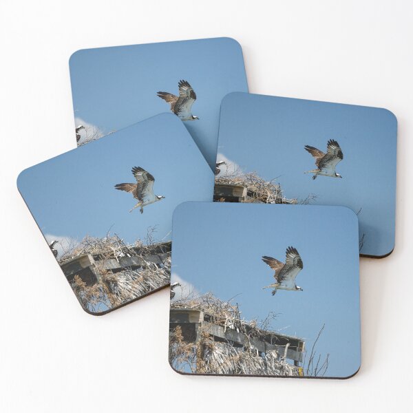Item preview, Osprey Takes off from Nest designed and sold by ShorelineImages.