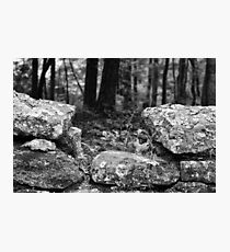 Restful Photographic Print