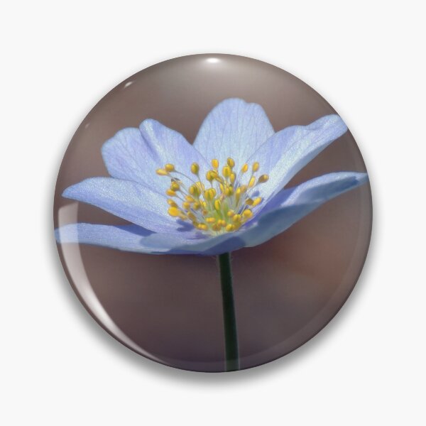 Item preview, Wood Anenome designed and sold by Tom McPherson Photography.