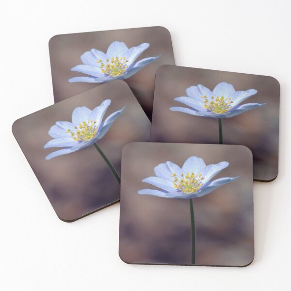 Item preview, Wood Anenome designed and sold by Tom McPherson Photography.