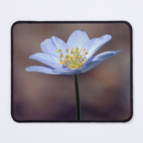 Item preview, Wood Anenome designed and sold by Tom McPherson Photography.