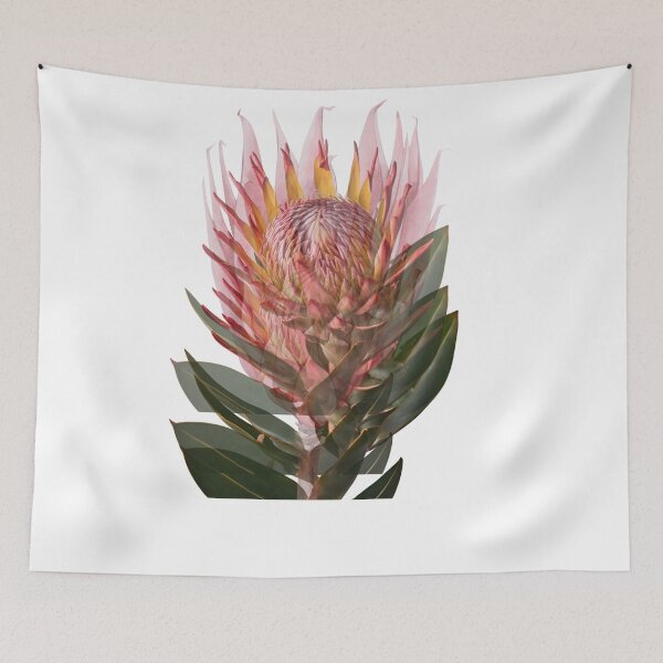 Item preview, Protea flower lovers designed and sold by Yeyishop.
