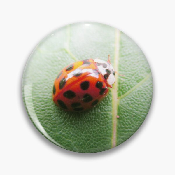 Item preview, Dark Orange Ladybug designed and sold by HeWritesWLight.