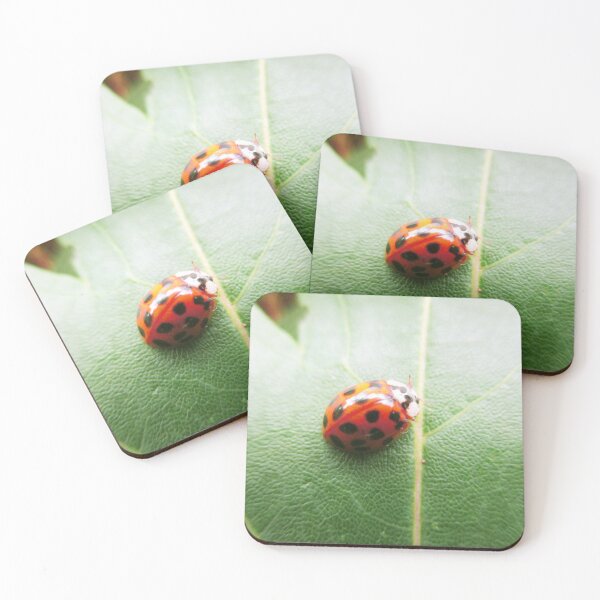 Item preview, Dark Orange Ladybug designed and sold by HeWritesWLight.