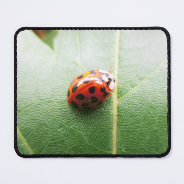 Item preview, Dark Orange Ladybug designed and sold by HeWritesWLight.