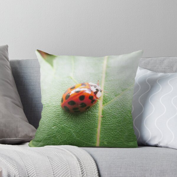Item preview, Dark Orange Ladybug designed and sold by HeWritesWLight.