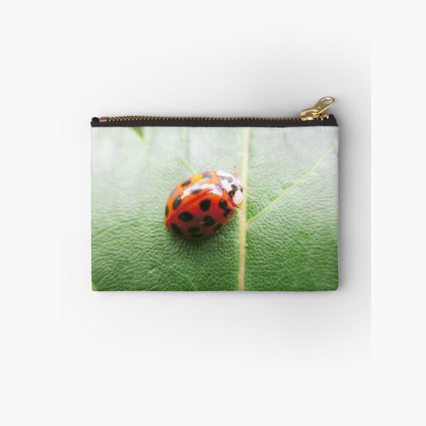 Item preview, Dark Orange Ladybug designed and sold by HeWritesWLight.