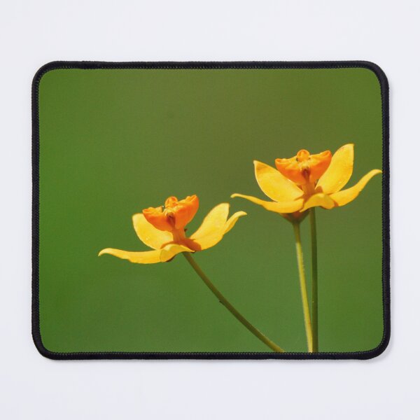 Item preview, Flowers in Cameroon designed and sold by Hazel Cameron.
