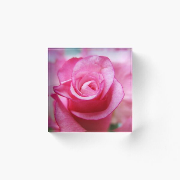 Item preview, Bright Summer Pink Rose Bud designed and sold by HeWritesWLight.