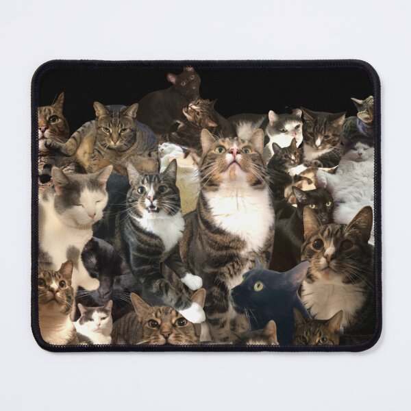 Item preview, cat collage! designed and sold by cheeseburgercat.