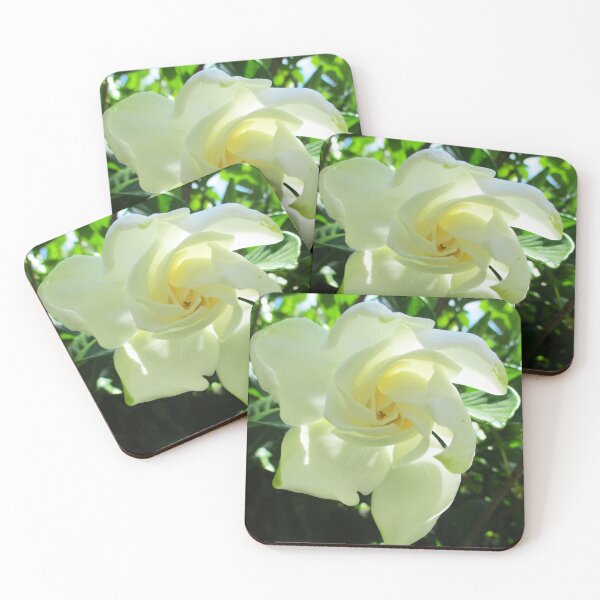Item preview, Bright Morning White Rose designed and sold by HeWritesWLight.