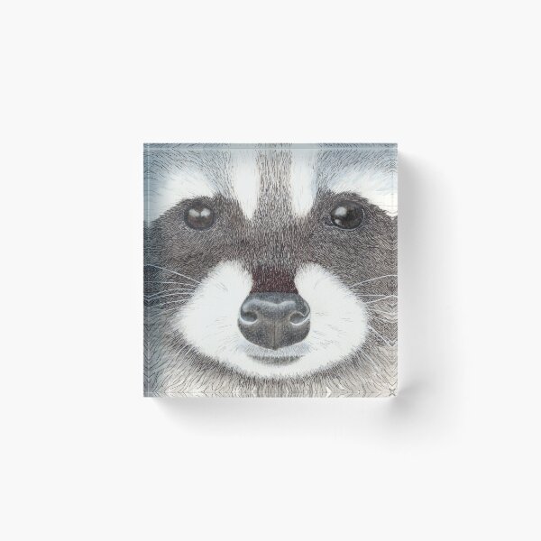 Item preview, Raccoon face designed and sold by smonahan1234.