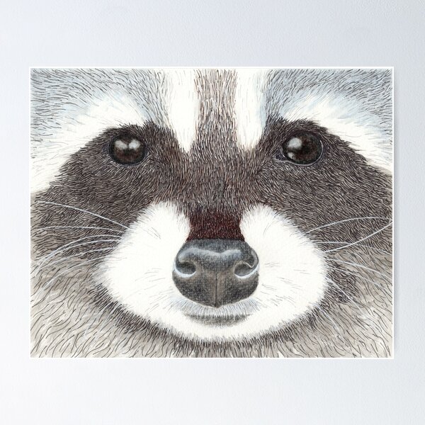 Item preview, Raccoon face designed and sold by smonahan1234.