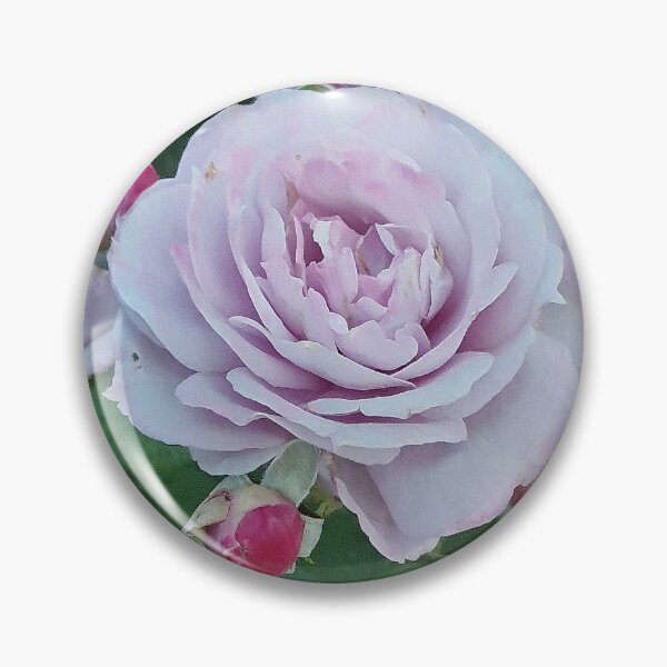 Item preview, flora, roses, purple, pink, photography, Bebicervin designed and sold by BebiCervin.