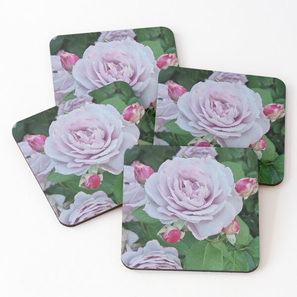 Item preview, flora, roses, purple, pink, photography, Bebicervin designed and sold by BebiCervin.