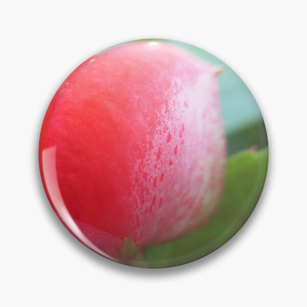 Aperçu de l'œuvre Bouton floral d'été rouge clair créée et vendue par HeWritesWLight.
