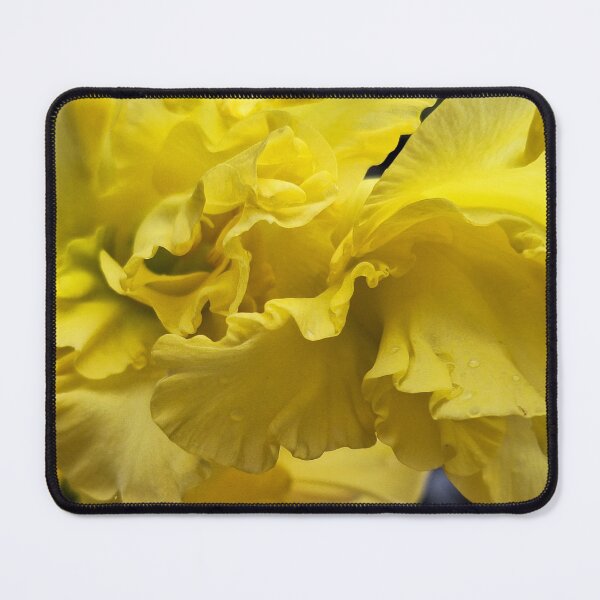 Item preview, Gladiolus designed and sold by LaurenMachuga.