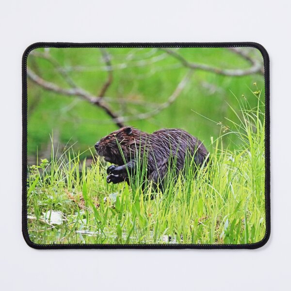 Item preview, Someone Is Coming designed and sold by Deb Oppermann.