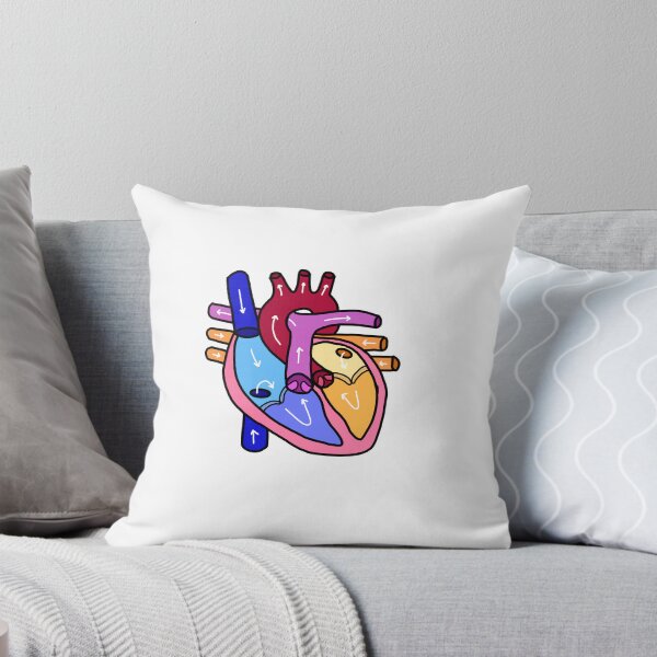 Item preview, anatomically accurate heart designed and sold by vive aitchison.