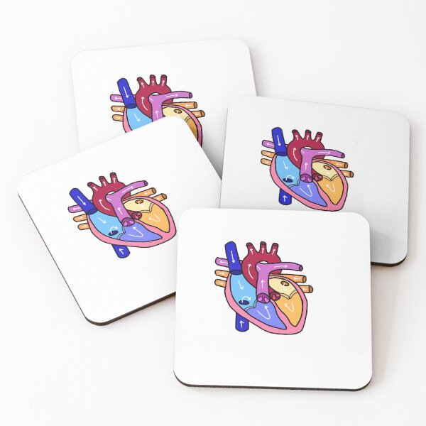 Item preview, anatomically accurate heart designed and sold by vive aitchison.