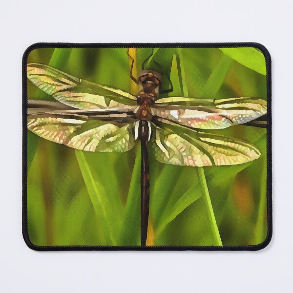 Item preview, Artistic Dragonfly In Brown And Yellow On Green designed and sold by taiche.