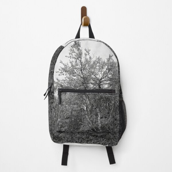 Item preview, Mountain side view. Mountain Birch bw designed and sold by Jouko Lehto Photography.