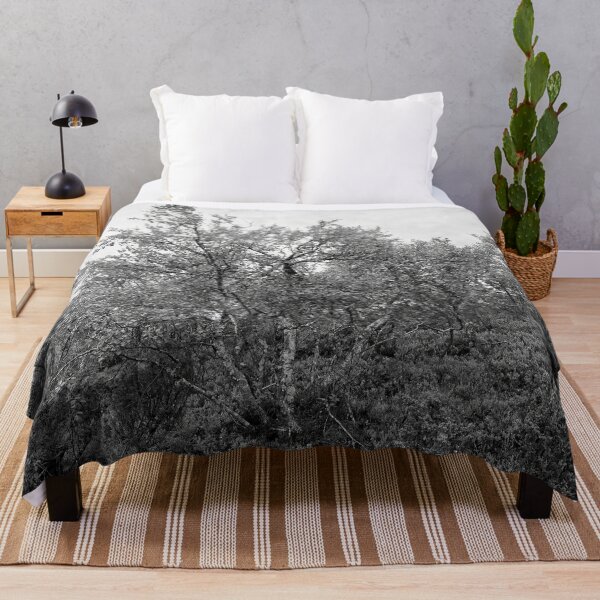Item preview, Mountain side view. Mountain Birch bw designed and sold by Jouko Lehto Photography.