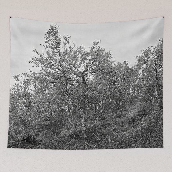 Item preview, Mountain side view. Mountain Birch bw designed and sold by Jouko Lehto Photography.