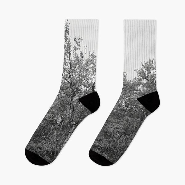 Item preview, Mountain side view. Mountain Birch bw designed and sold by Jouko Lehto Photography.