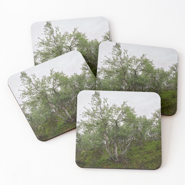 Item preview, Vista lateral de la montaña. Abedul de montaña designed and sold by Jouko Lehto Photography.