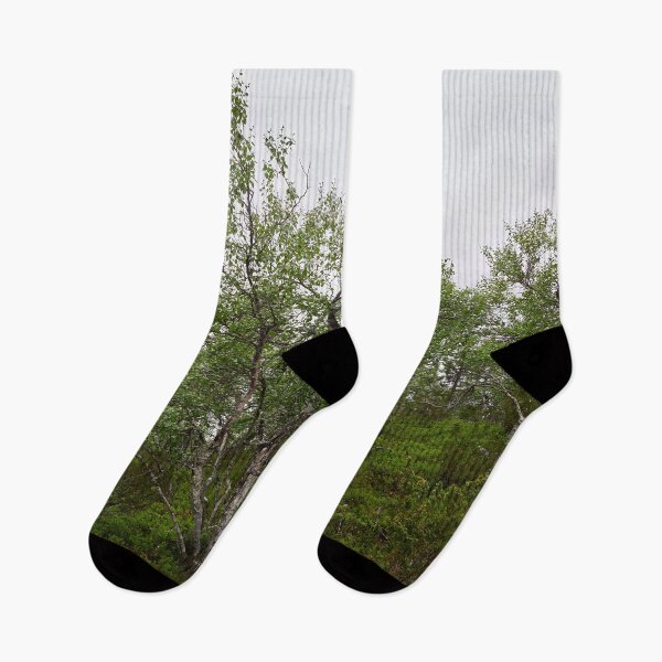 Item preview, Mountain side view. Mountain Birch designed and sold by Jouko Lehto Photography.