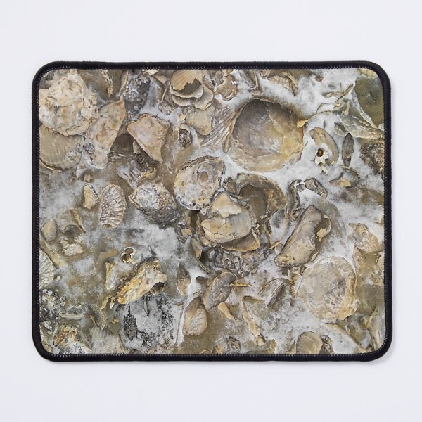 Item preview, Fossilized seashell texture print design designed and sold by DFLC Prints.