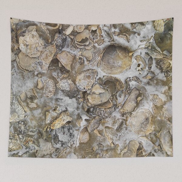 Item preview, Fossilized seashell texture print design designed and sold by DFLC Prints.