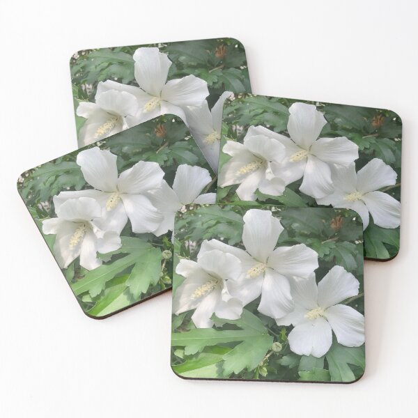 Item preview, White Hibiscus  designed and sold by Amanda1775.