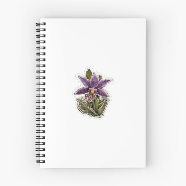 Artikelvorschau, Calypso-Orchidee entworfen und verkauft von coloradocreates.