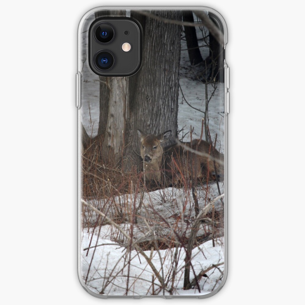 Nap Time iPhone Case & Cover