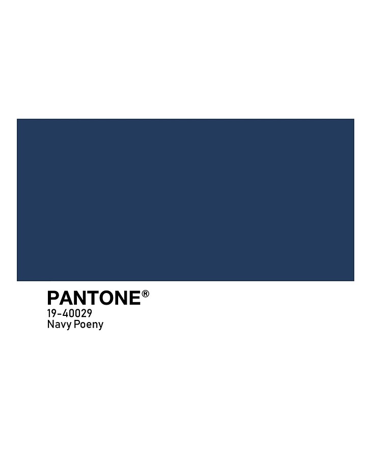 Pantone Canyon Rose iPad Case & Skin for Sale by scultura