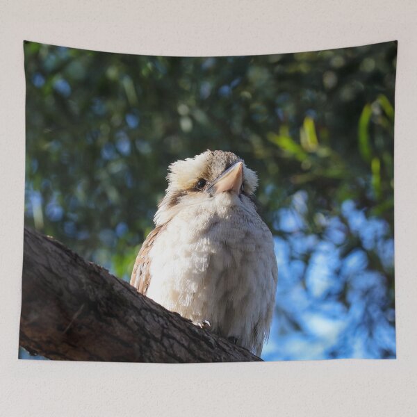 Item preview, Kookaburra Portrait designed and sold by Hayden Jacobs.
