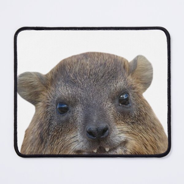 Item preview, Rock hyrax face designed and sold by SillyLittleSnek.