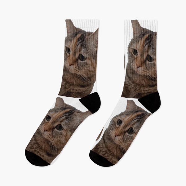 Item preview, Sad meowing cat meme designed and sold by IceCreamSmile.