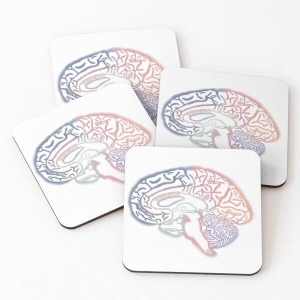 Item preview, Anatomical Brain designed and sold by saberbaber.