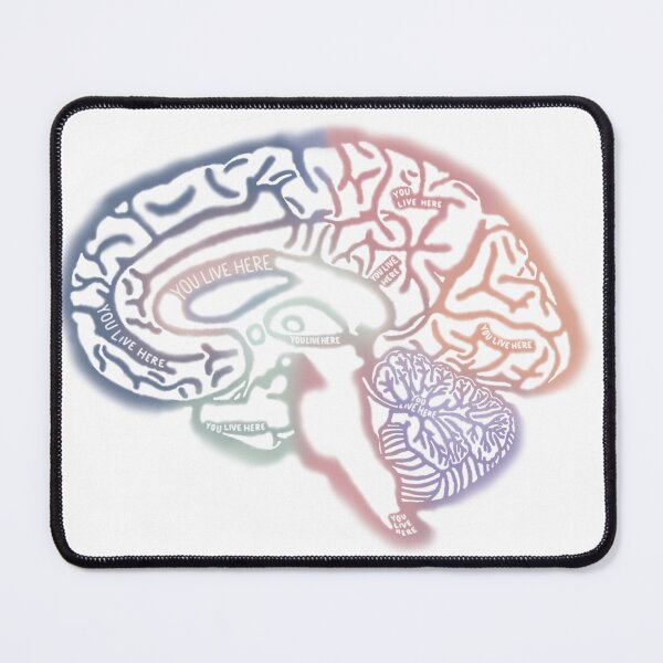 Item preview, Anatomical Brain designed and sold by saberbaber.