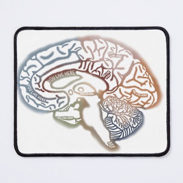 Item preview, Anatomical Brain designed and sold by saberbaber.