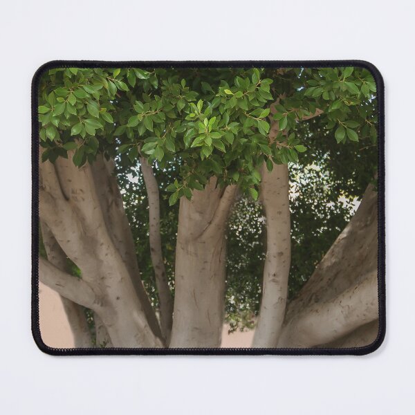 Item preview, Big Bold Tree designed and sold by heatherfriedman.